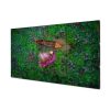 [LTY430HJ01] Màn hình ghép Samsung 43 inch – 8 mm - Nguyên Phong
