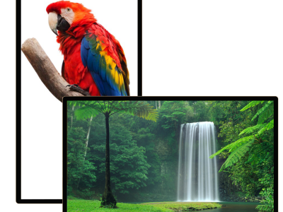 Màn hình quảng cáo Châu Âu Ultra HD 65 inch - Nguyên Phong