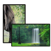 Màn hình quảng cáo Châu Âu Professional UHD Signage 98 inch - Nguyên Phong