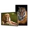 Màn Hình Quảng Cáo Châu Âu 49 Inch: Giải Pháp Smart Signage Hiệu Quả 2026 - Nguyên Phong