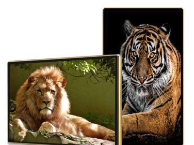 Màn Hình Quảng Cáo Châu Âu 49 Inch: Giải Pháp Smart Signage Hiệu Quả 2026 - Nguyên Phong