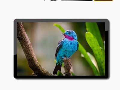Màn hình quảng cáo LCD treo tường 75 inch SAMSUNG / LG - Nguyên Phong