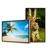 Màn hình quảng cáo Châu Âu 43 inch Smart Signage Display - Nguyên Phong
